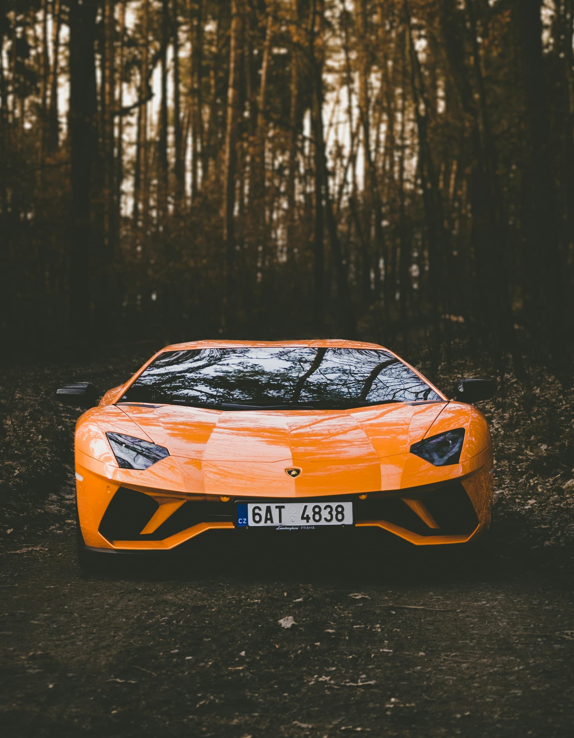 Ceramic Protection